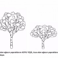 okul öncesinde kavramlar (677)