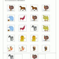 yanyana-olanlardan-aynı-olanları-isaretle-oyunu-15