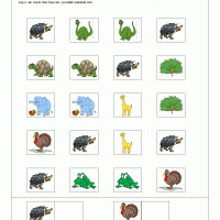 yanyana-olanlardan-aynı-olanları-isaretle-oyunu-16