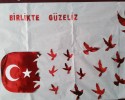 15 temmuz demokrası şehitleri  (21)