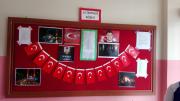 15 temmuz demokrası şehitleri  (2)