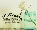 8 mart kadınlar günü (45)