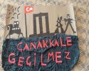 çanakkale zaferi (31)