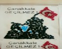 çanakkale zaferi (6)