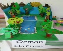 orman haftası (7)