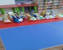 sanat etkinliği (490)