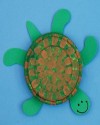 seaturtle