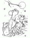 köpek