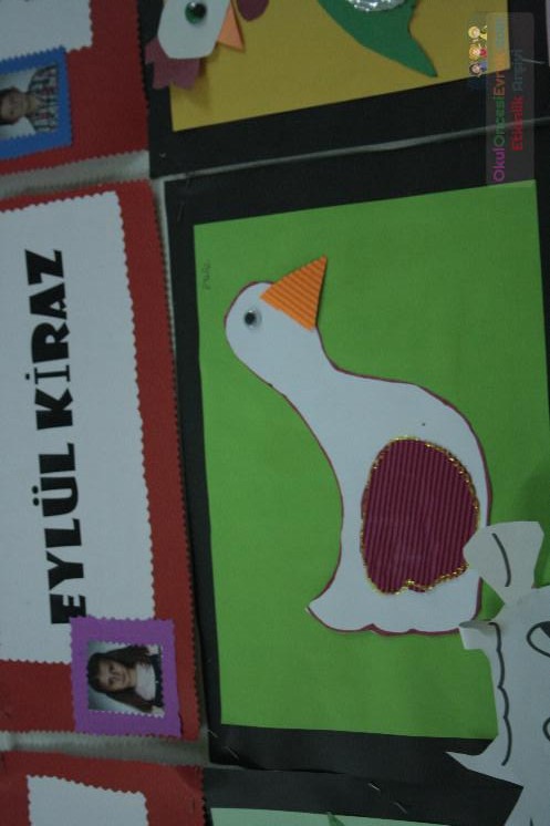 kaz