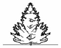 AĞAÇ (4)
