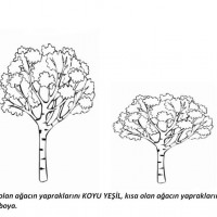 boyama çalişması ,kağit işleri,gelişim dosyası süslemesi,matematık çalişması  ,atatürk köşesi (300)