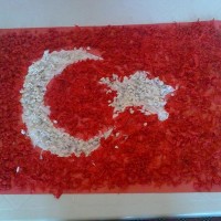 boyama çalişması ,kağit işleri,gelişim dosyası süslemesi,matematık çalişması  ,atatürk köşesi (348)