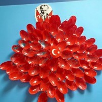 kağit işleri,sınıf süsü ,gelişim raporu ,atatürk haftası (132)