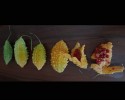 sanat etkınlığı (506)
