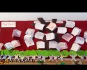 sanat etkınlığı (525)
