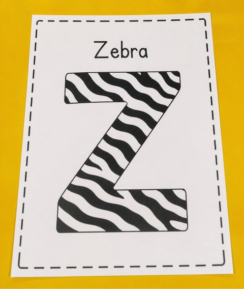 zebra