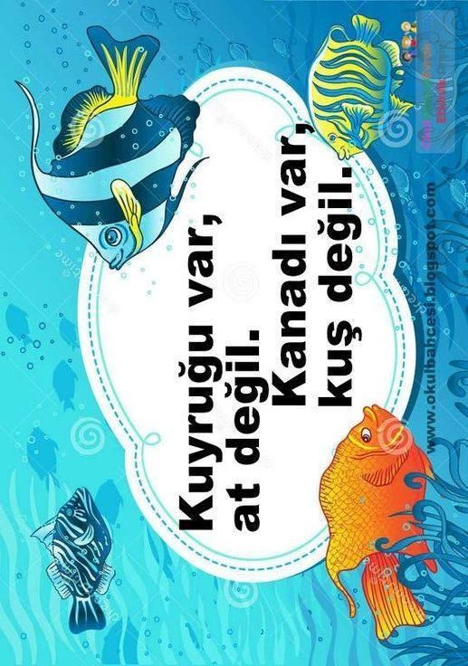 mezuniyet ve gelişim dosyası karneleri (48)