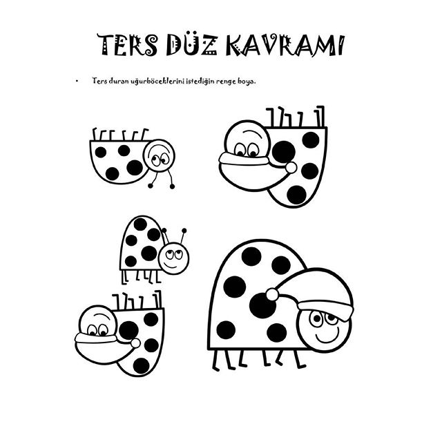 sanat etkınlık ve kavramlar (25)