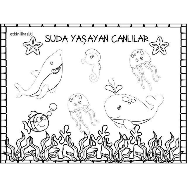 sanat etkınlık ve kavramlar (66)