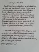 gelişim raporu  süslemeleri (206)