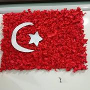 karne süsleme ve gelişim süsleme (134)