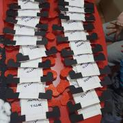 karne süsleme ve gelişim süsleme (220)