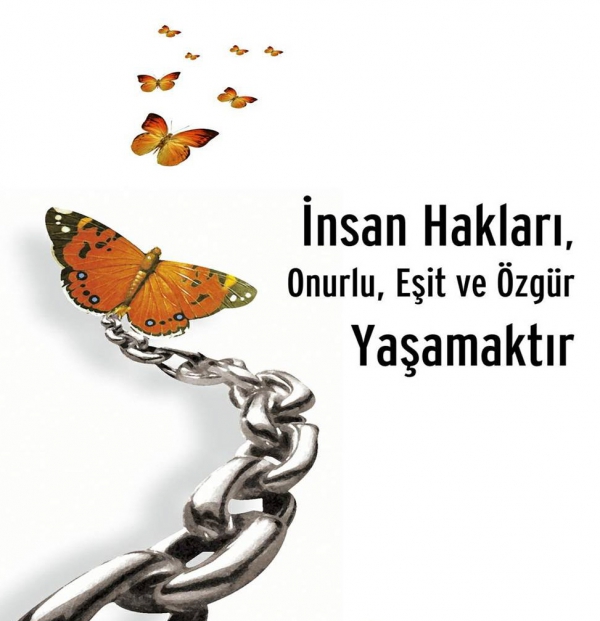 14231246_insan_haklari1