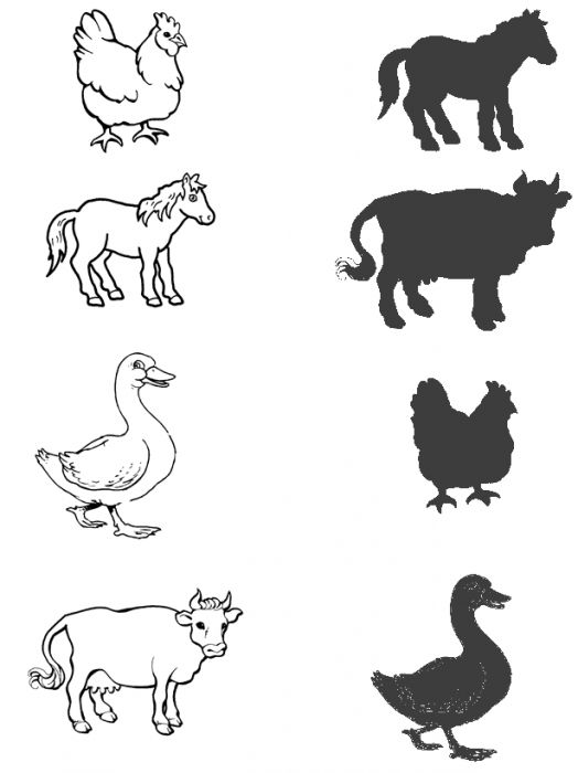animal-shadow-match-worksheets-5