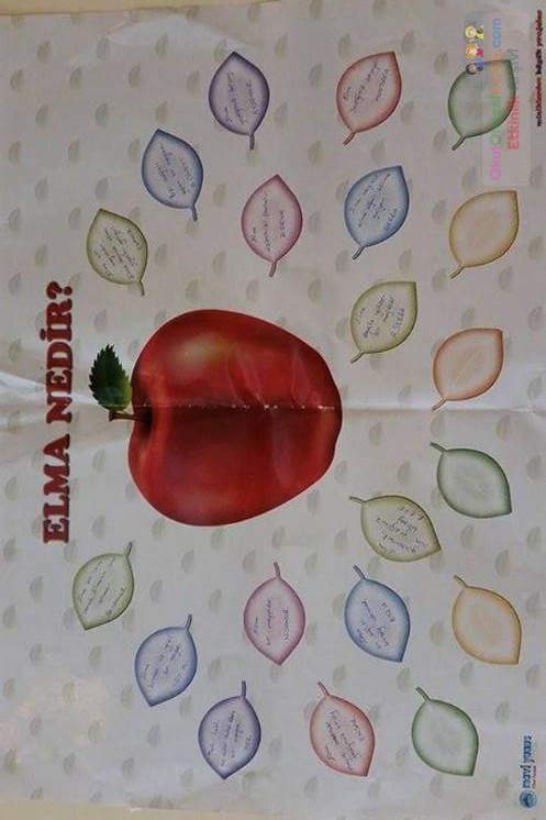 artık materyal,atatürk ,kağit işleri,aşure haftası,mevsımler,yüz ifadesi (717)