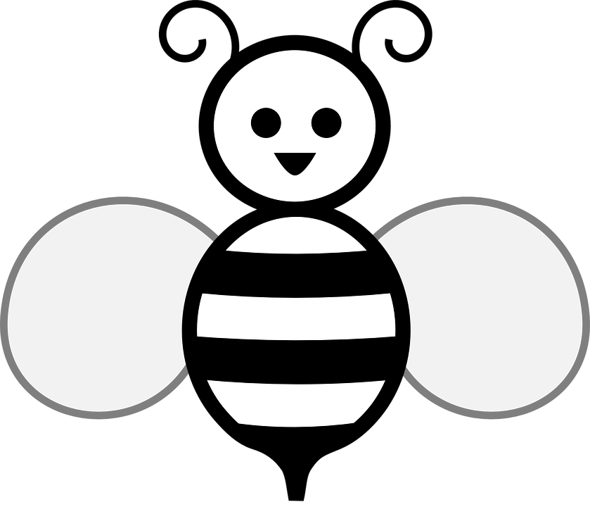 honey-bee-303599_960_720