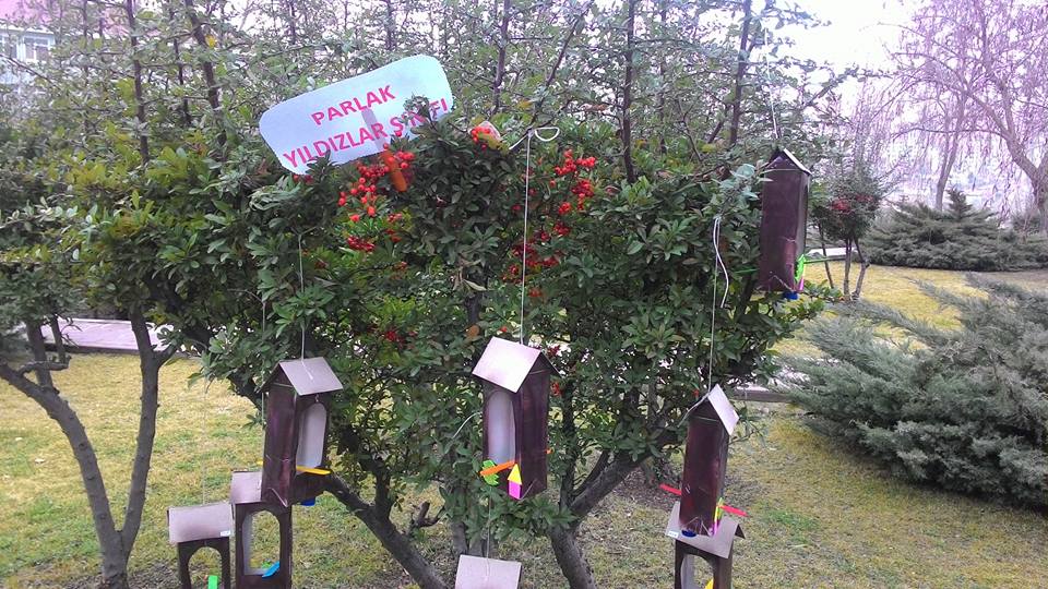 kuş (2)