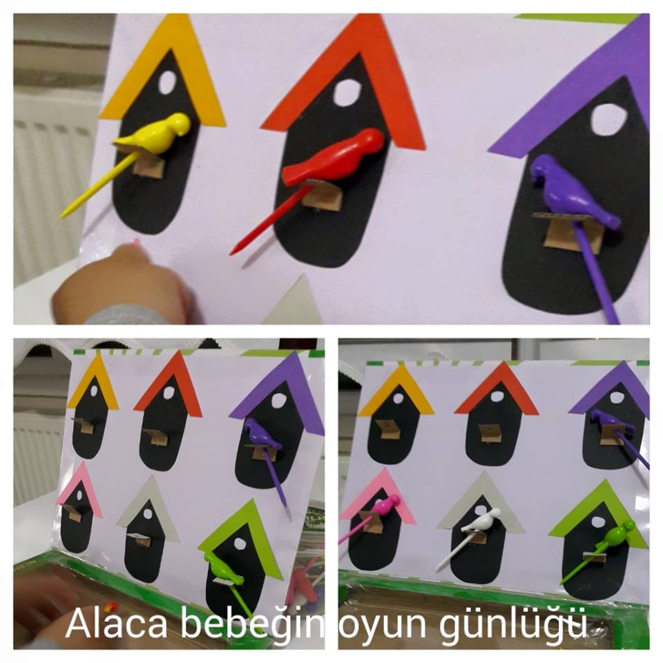 kuş yemi  (3)