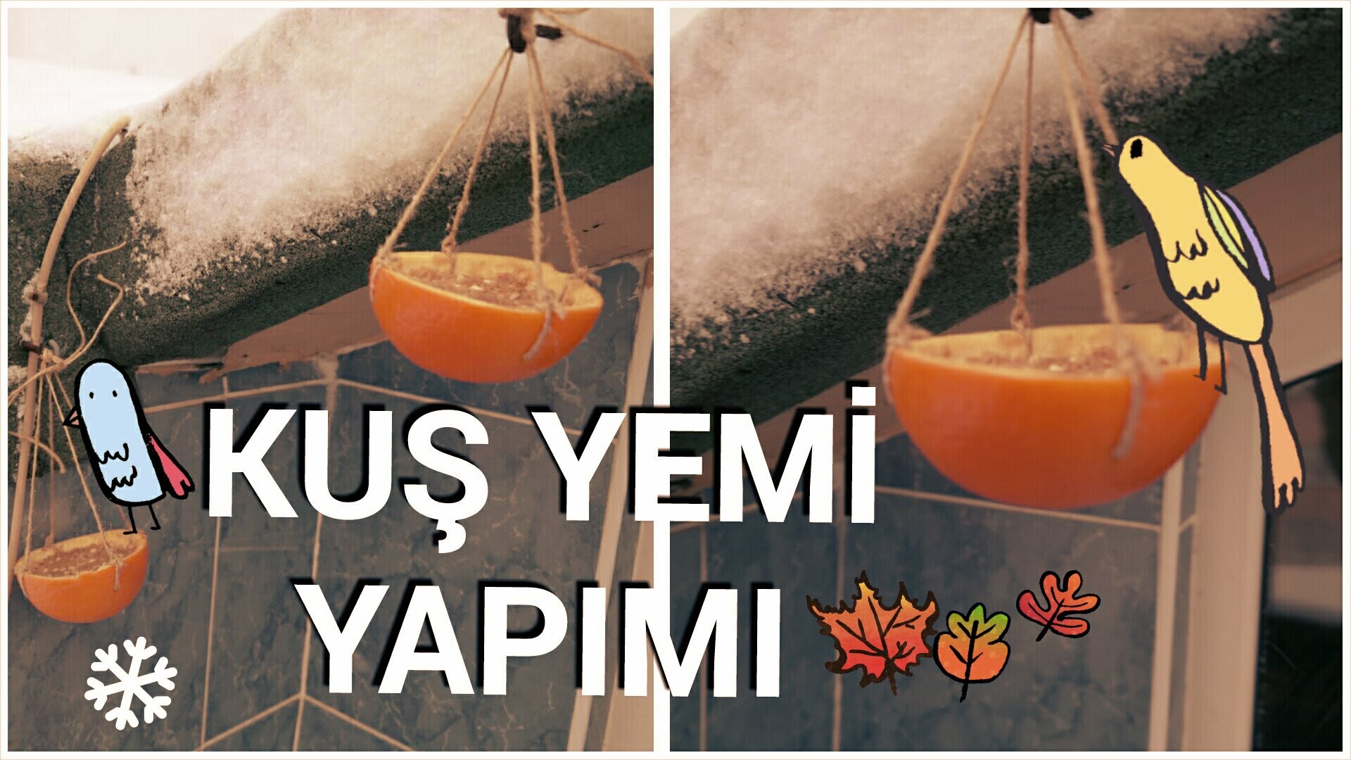 kuş yemi  (4)