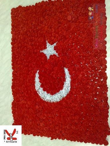 sanat etkınlıklerı (484)