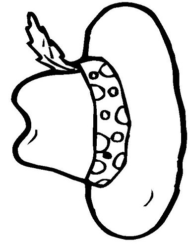 sapka-boyama-1