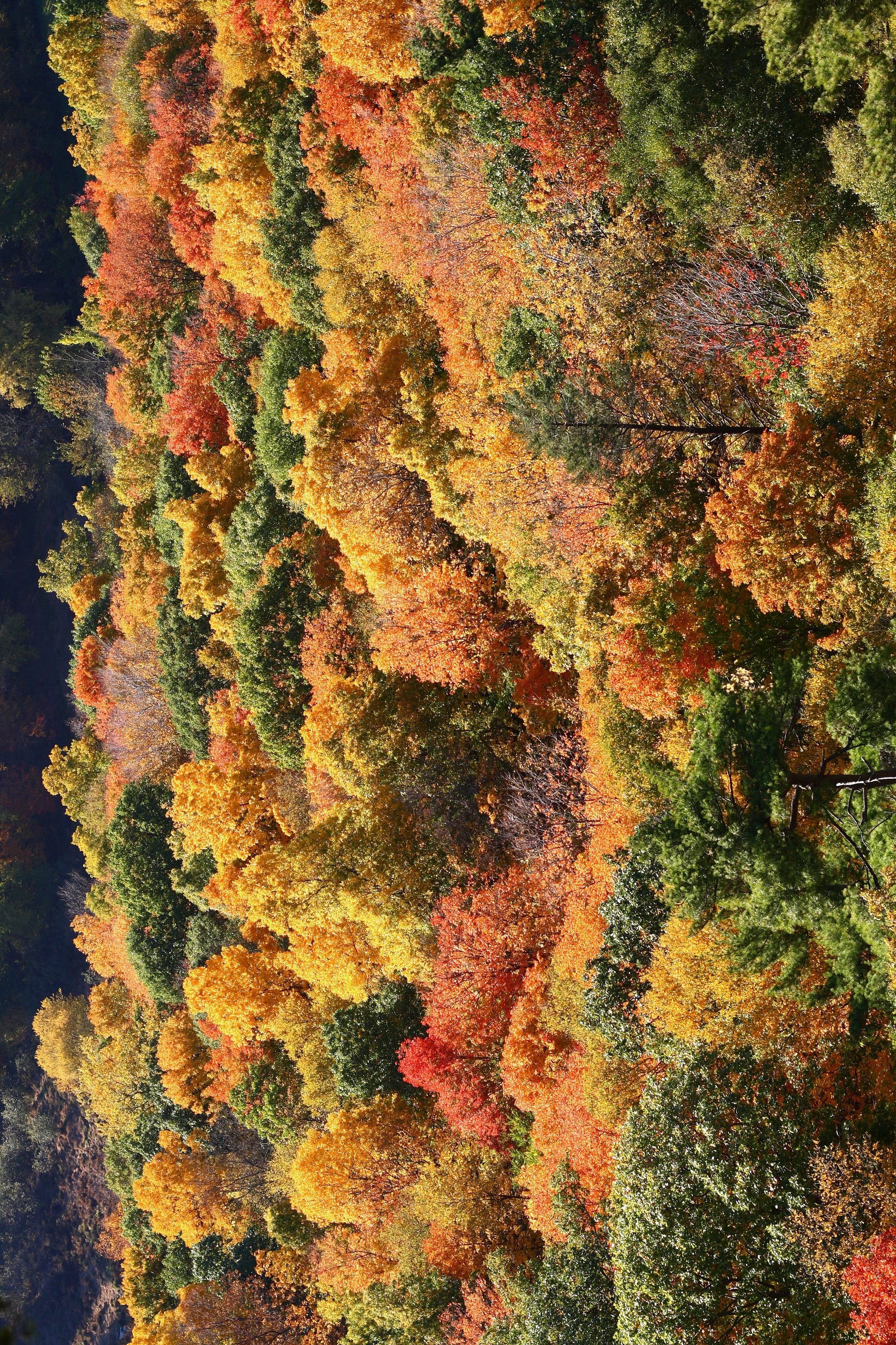 sonbahar mevsımınde  (2)