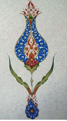tezhip (6)