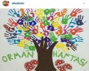 orman haftası