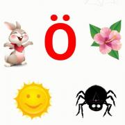 12e76e61654dc6251a496a6c18d5b578