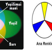 6.PNG