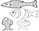 balık 8