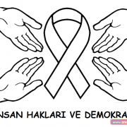 dmk