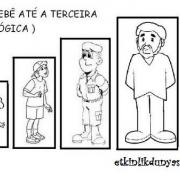 DO BBA TERCEIRA IDD