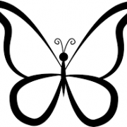 images (6)