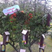 kuş (2)