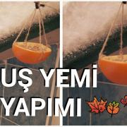 kuş yemi  (4)