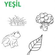 okul_öncesi_yeşil_rengi_öğreniyorum
