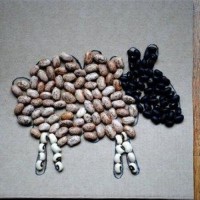 sanat etkınlığı ,boyama çalişması ,artık materyal (350)