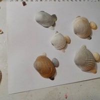 sanat etkınlığı ,boyama çalişması ,artık materyal (376)