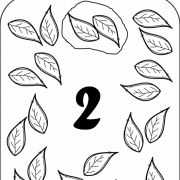 sayılar  (14)
